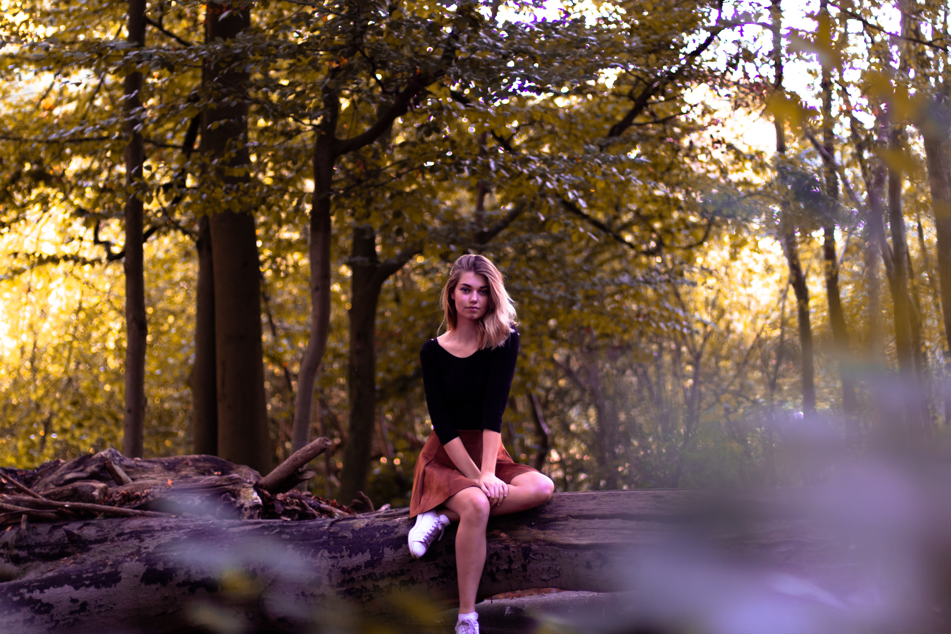 Preview.