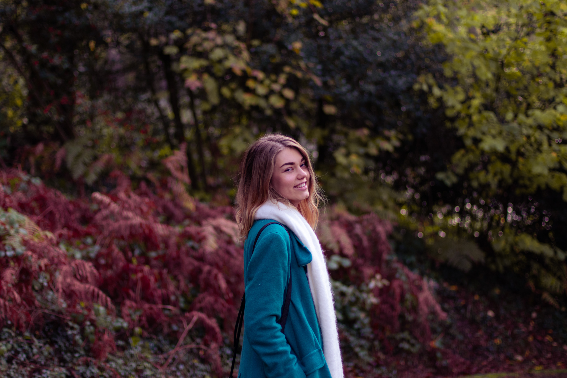 Preview.